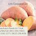 Tips Untuk Budidaya Flora Ubi Jalar