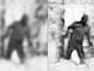 Investigadores Captan por Primera vez al Yeti en Bosque Ruso