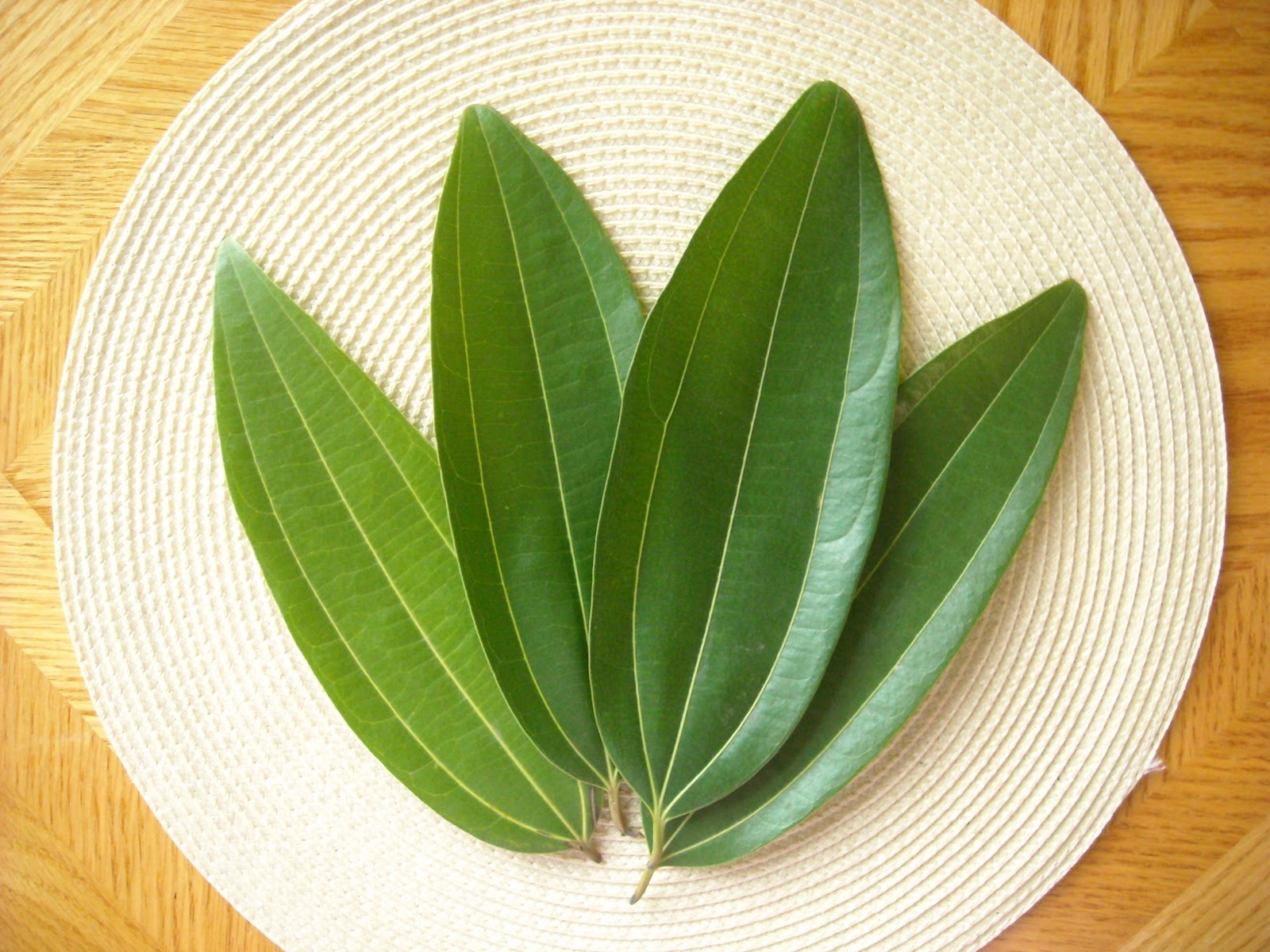 Гликемический индекс фруктов таблица для диабетиков. Таблица с гликемическим индексом для диабетиков 2. Полезные факты о фруктах. Манговые листочки. Можно ли манго при сахарном диабете 2.