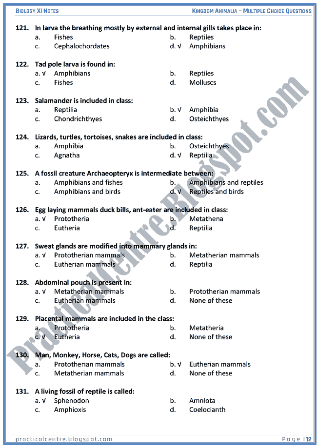 Kingdom Animalia - Multiple Choice Questions (MCQs) - Biology XI