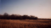 Picture of a field in Peabody, Massachusetts