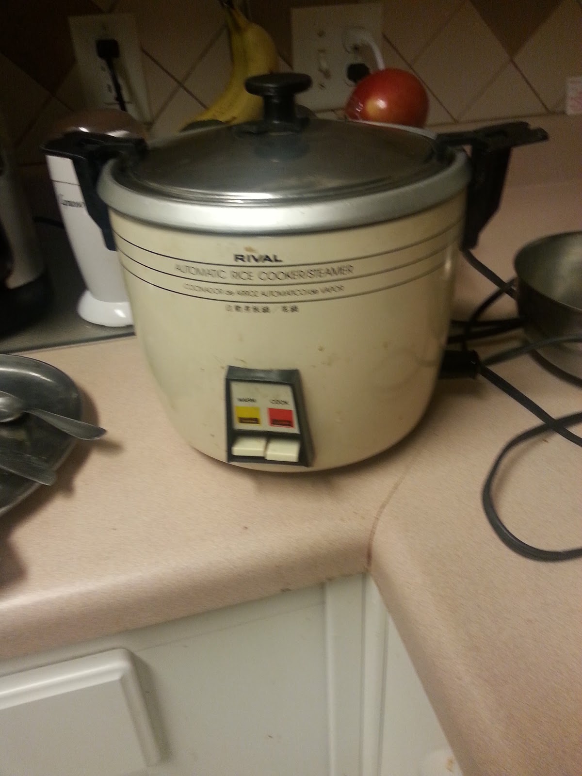 4356 Rival rice cooker/steamer Four Walls Music Reviews