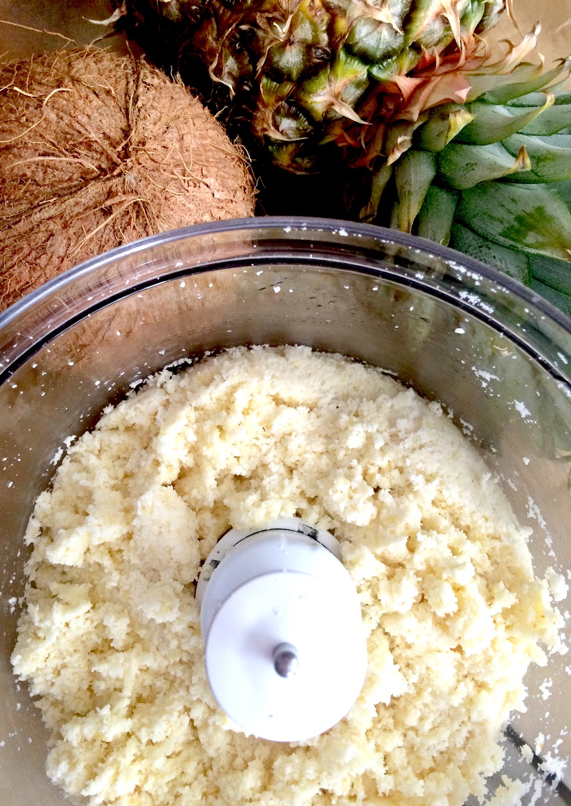 Passionately Raw! Raw Pineapple Coconut Sweet Treats