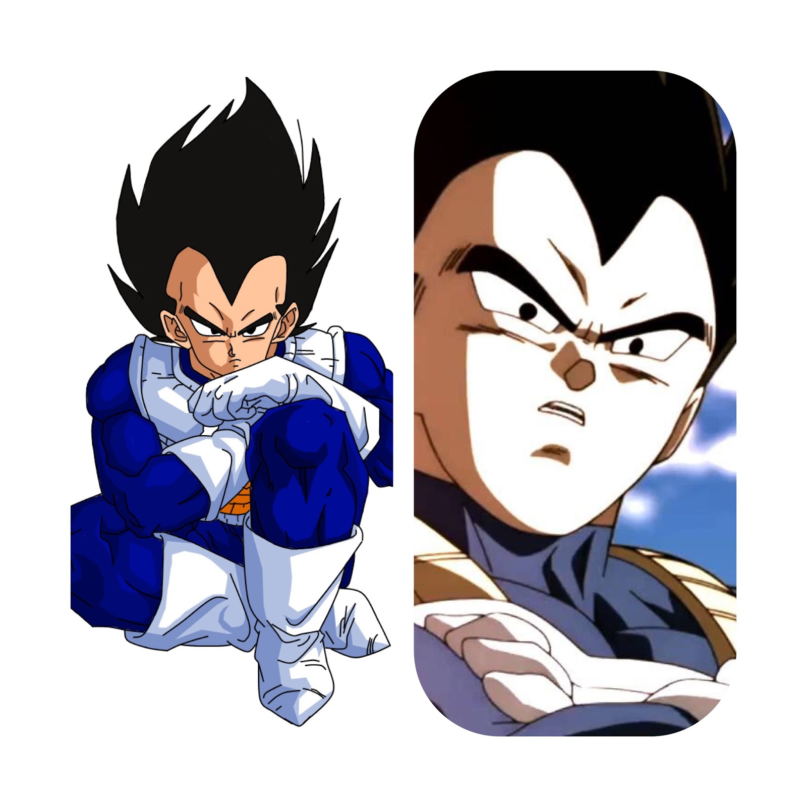 Top 8 Best Reasons Why Is Vegeta Is Better Than Goku Anime Net Portal