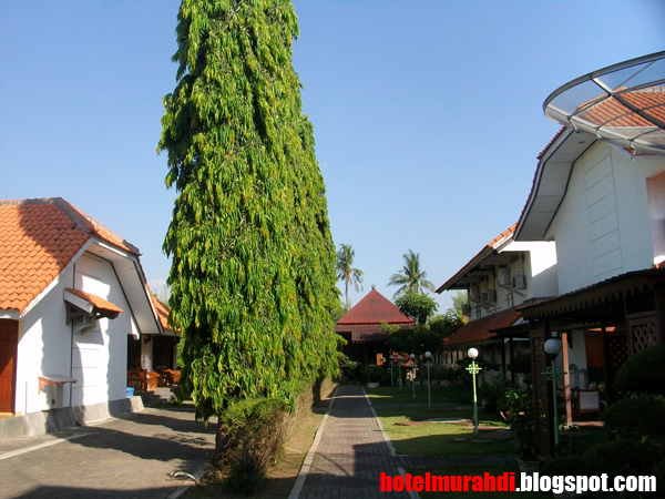 Hotel Murah di Malang - baru