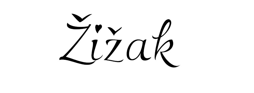 ZiZak