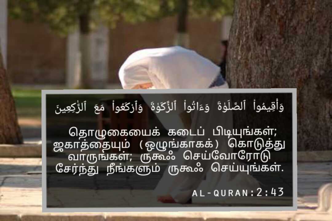 Namaz Quran Quotes Tamil Tamilquranquote