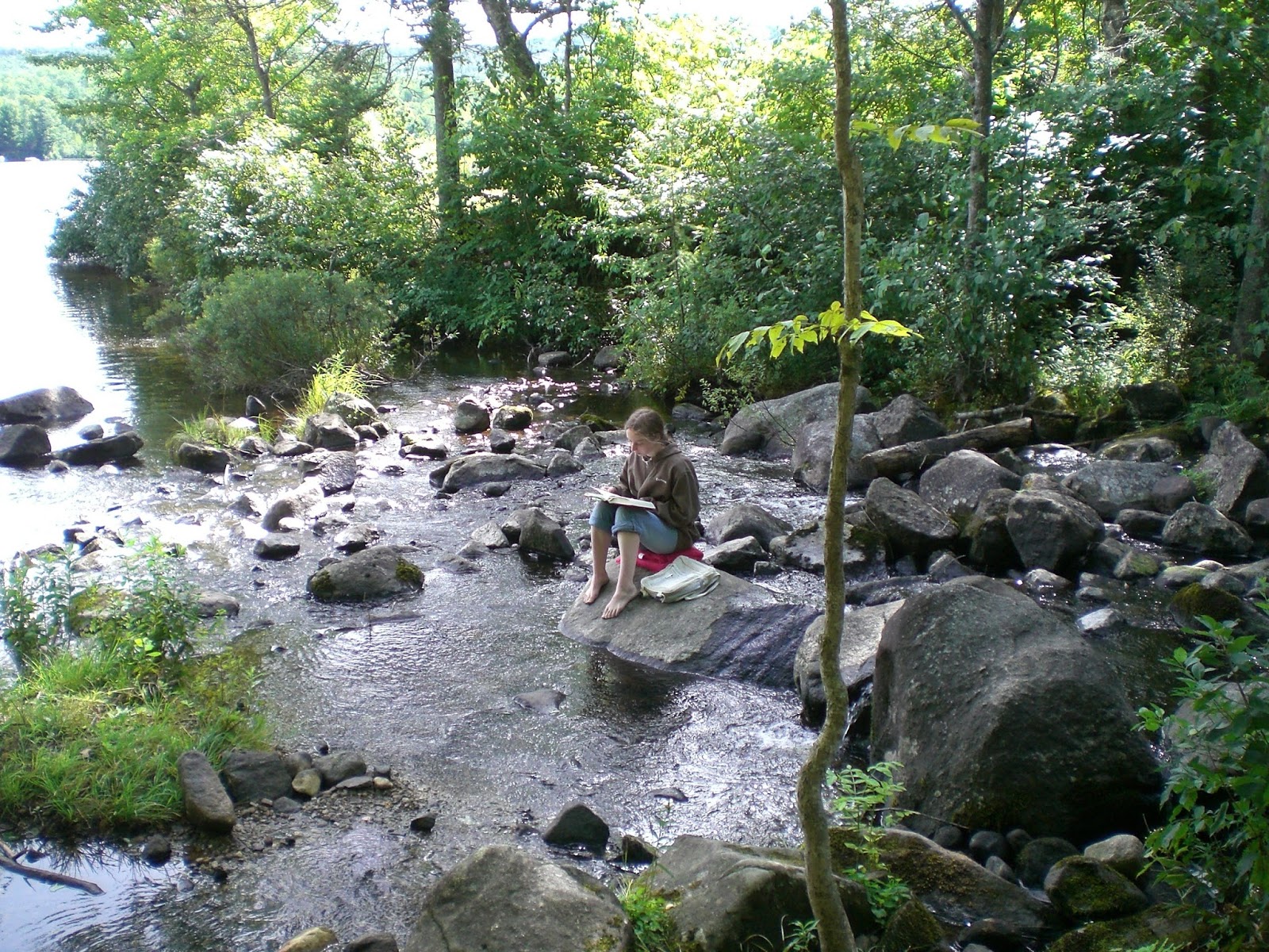 Groton State Forest Guide