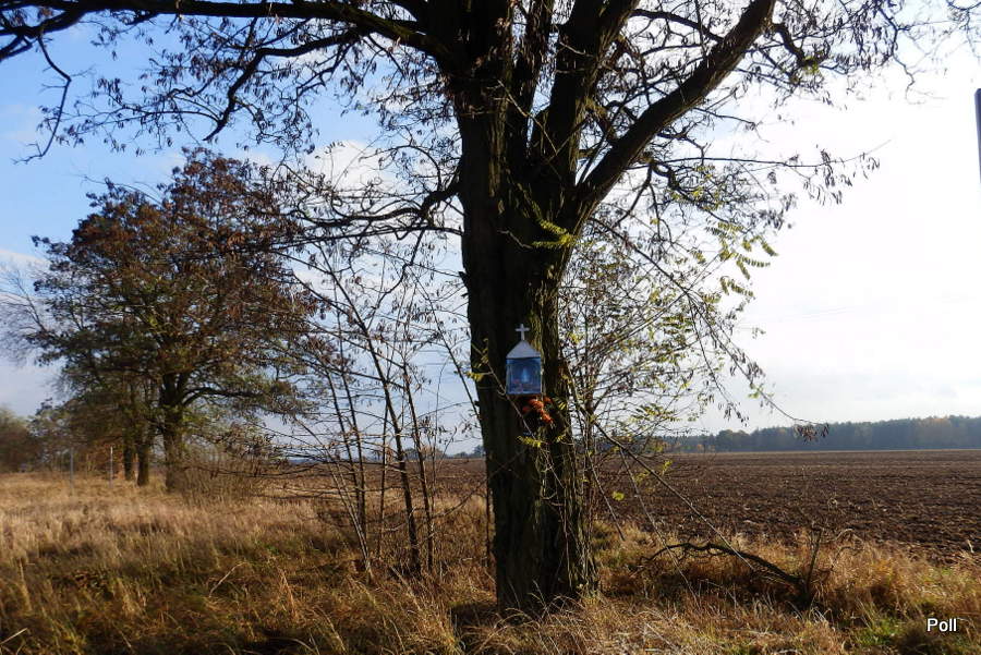 Kapliczki , figury i krzyże przydrożne Solniki Małe kapliczka nadrzewna