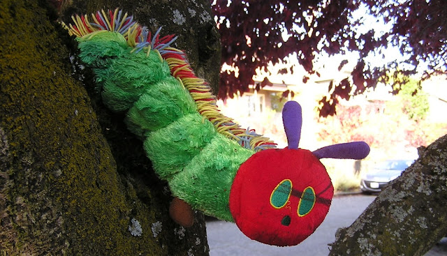 Image: Very Hungry Caterpillar, spotted on Phinney Ridge, by Chelsea Nesvig on Flickr