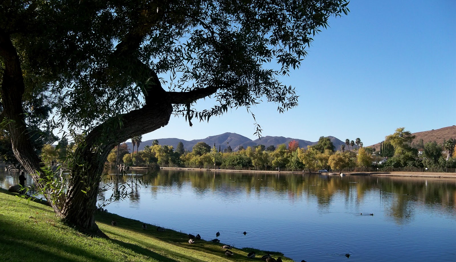 Fornology : Santee Lakes Best Staycation in Santee California