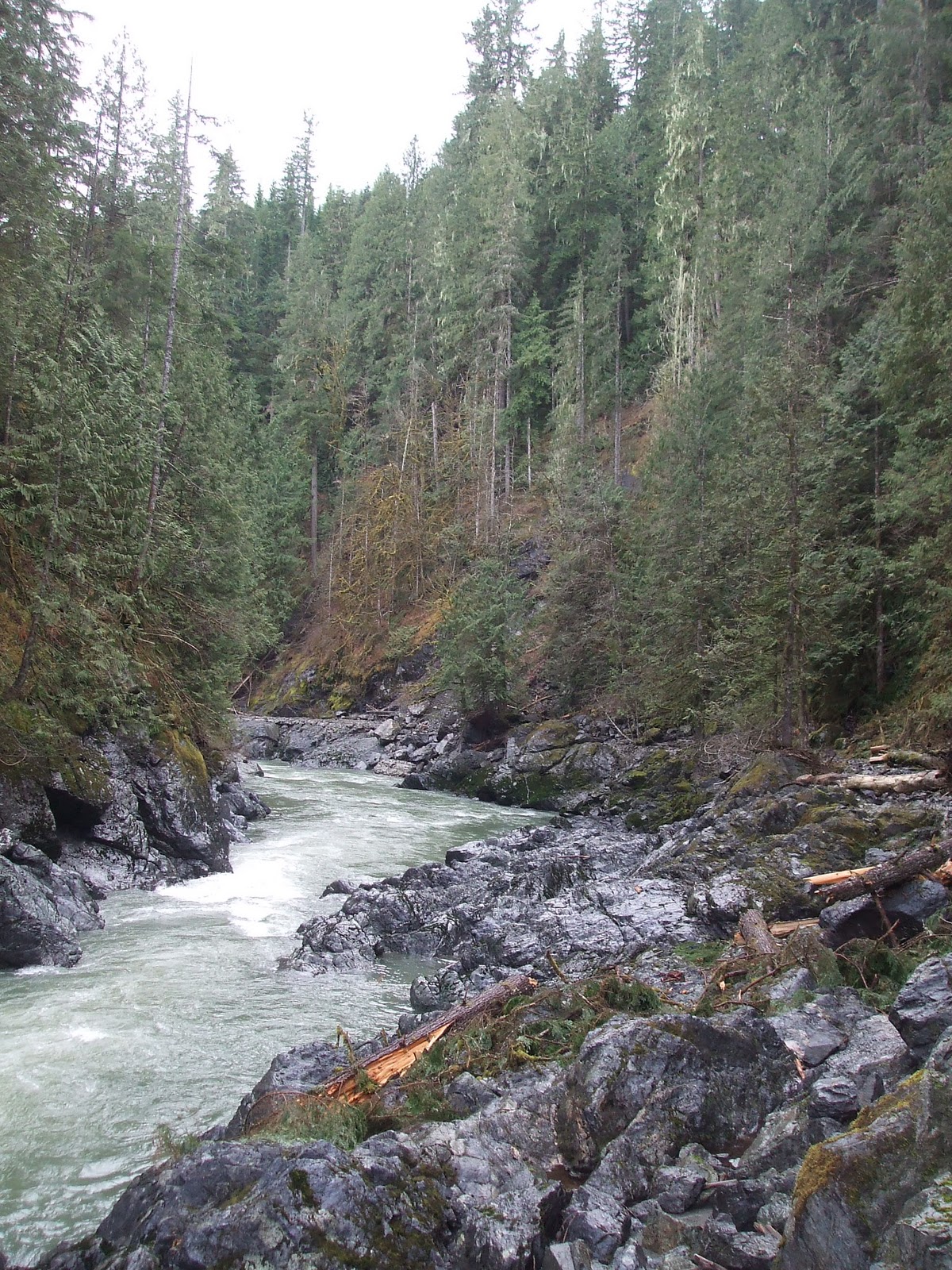 A Homeschool Mom's Hiking Blog: Old Robe Canyon Trail
