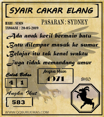 SYAIR SYDNEY 20-05-2019