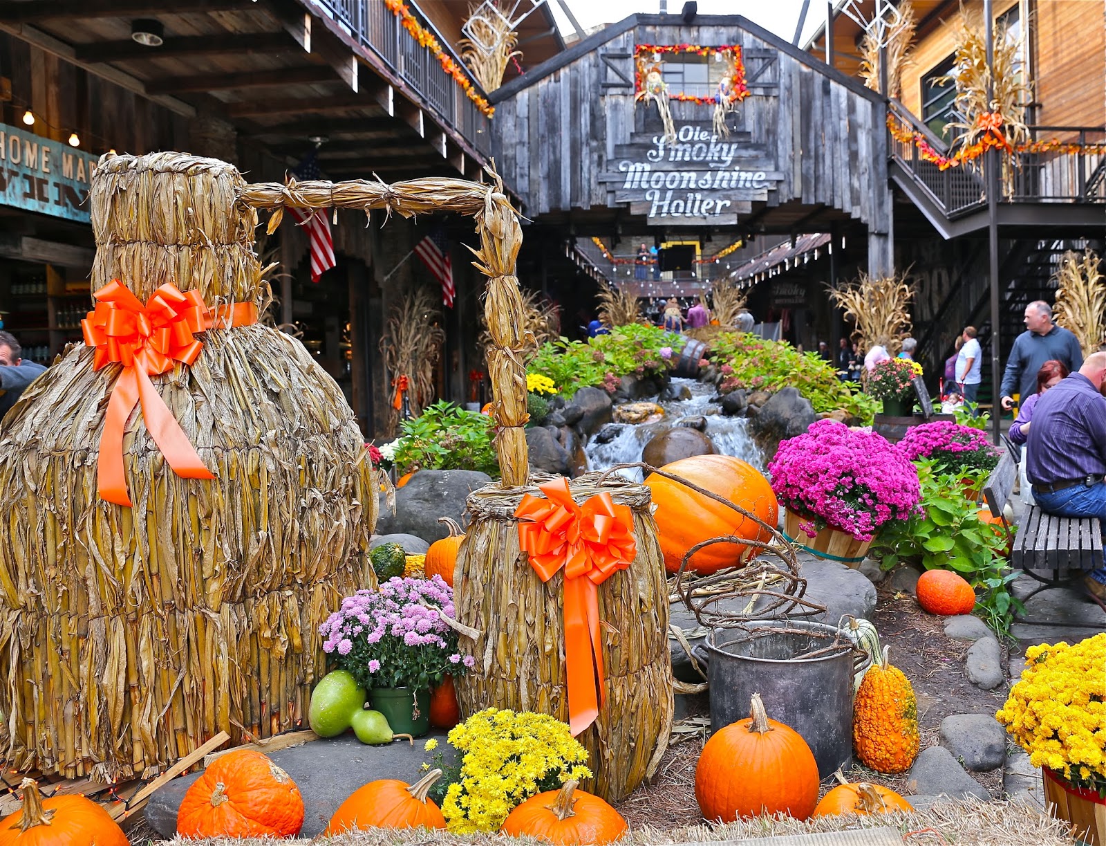 Sweet Southern Days Fall in the Foothills Parkway, Pigeon and