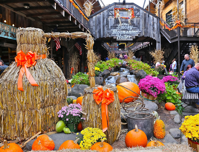 Sweet Southern Days: Fall in the Foothills Parkway, Pigeon Forge and ...