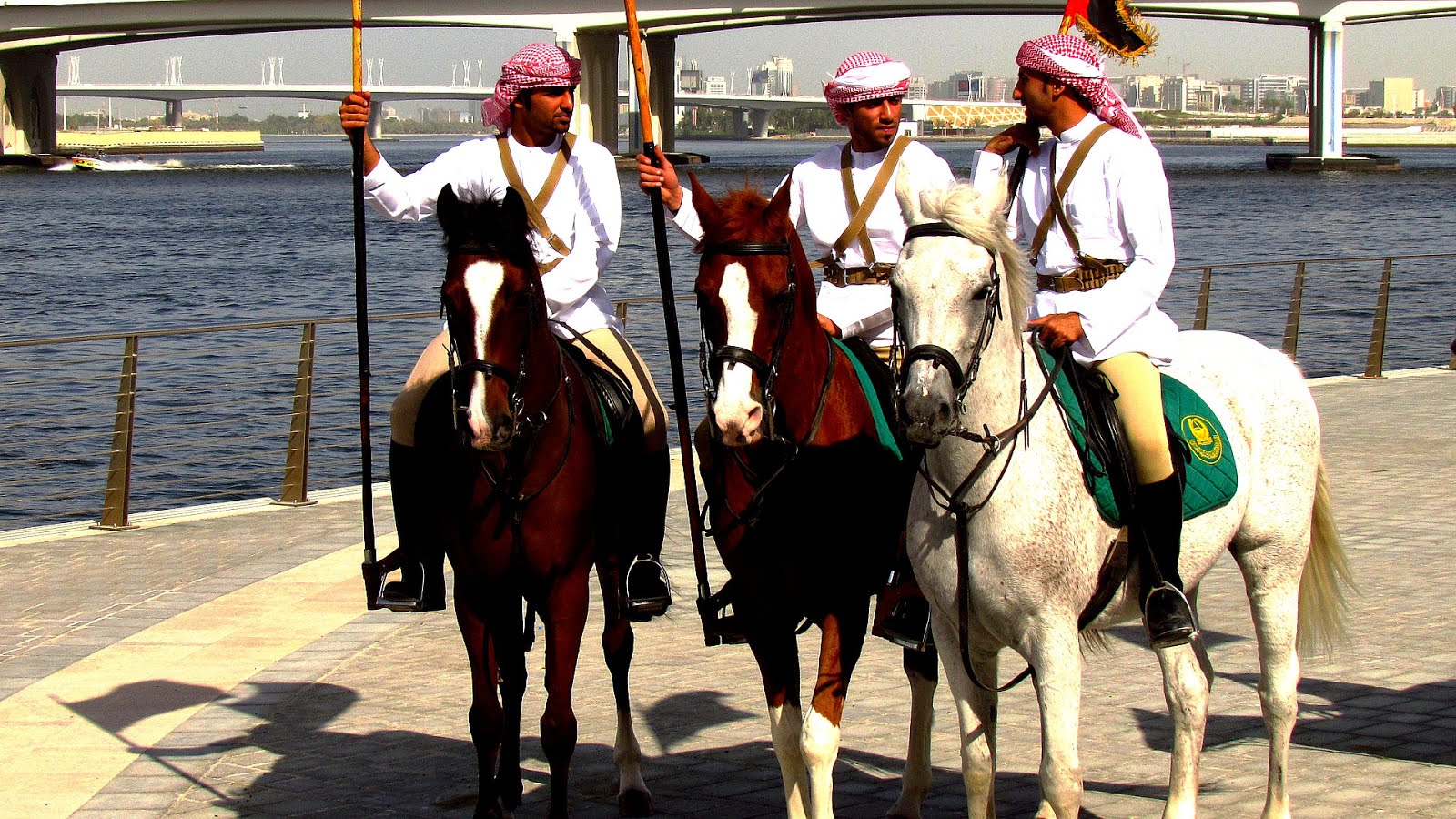 Dubai World Cup Horse Horse Choices