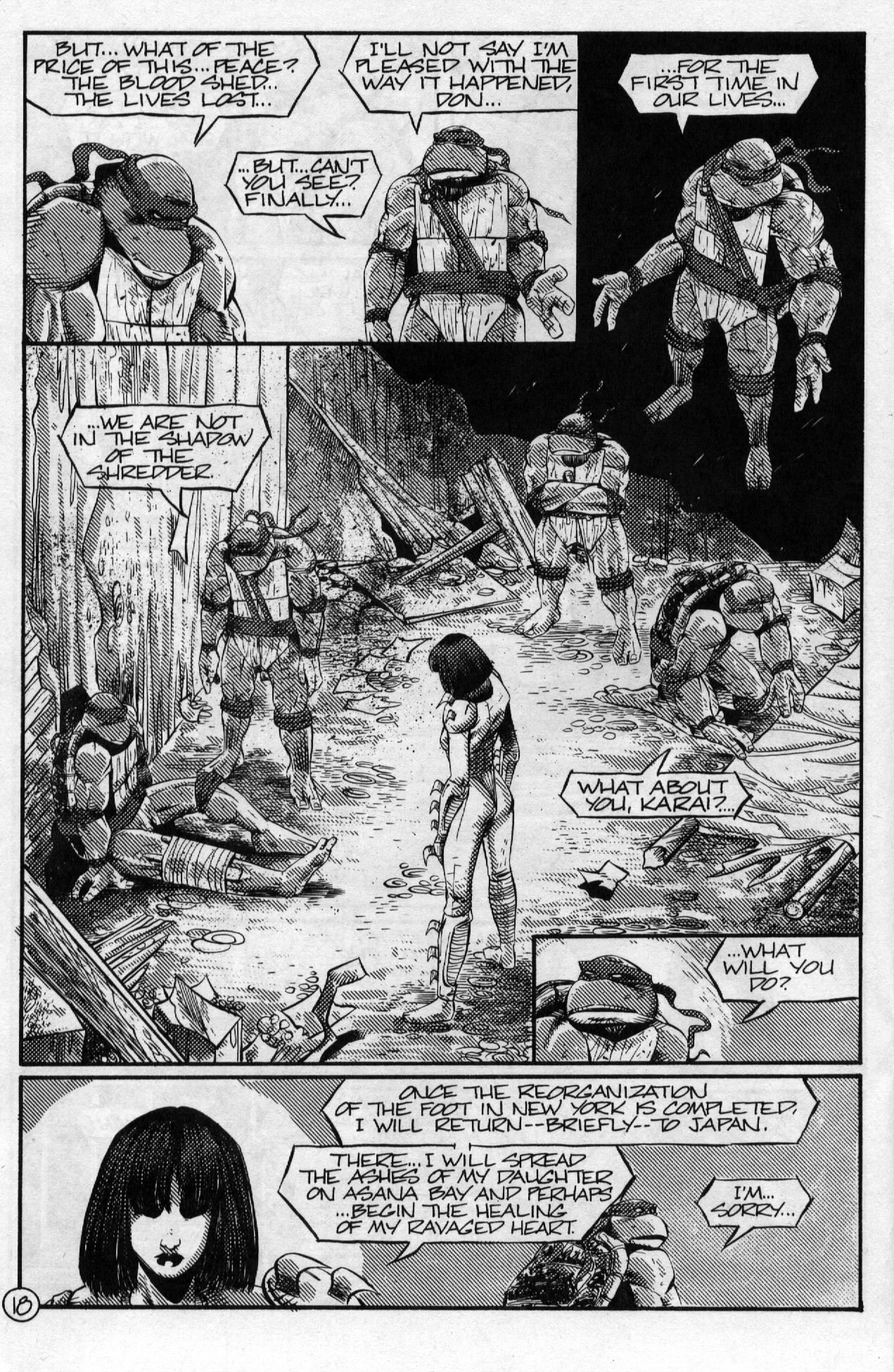 Teenage Mutant Ninja Turtles (1984) Issue #61 #61 - English 20