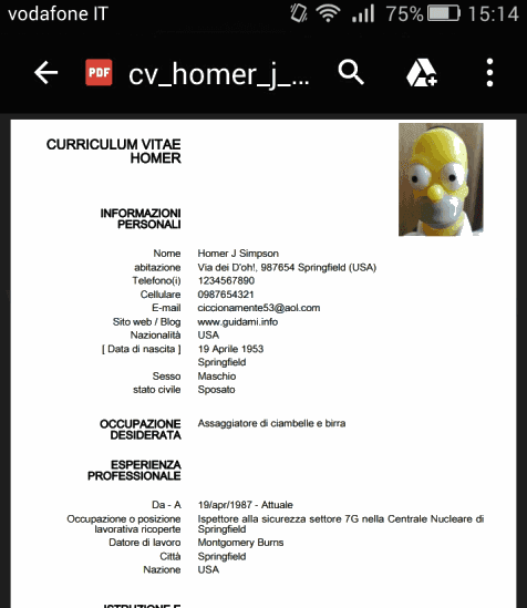 Anteprima curriculum vitae 06 picture