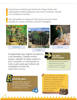 Exploración de la Naturaleza y la Sociedad 1er grado Bloque 2 lección 4 Beneficios y riesgos de plantas y animales 