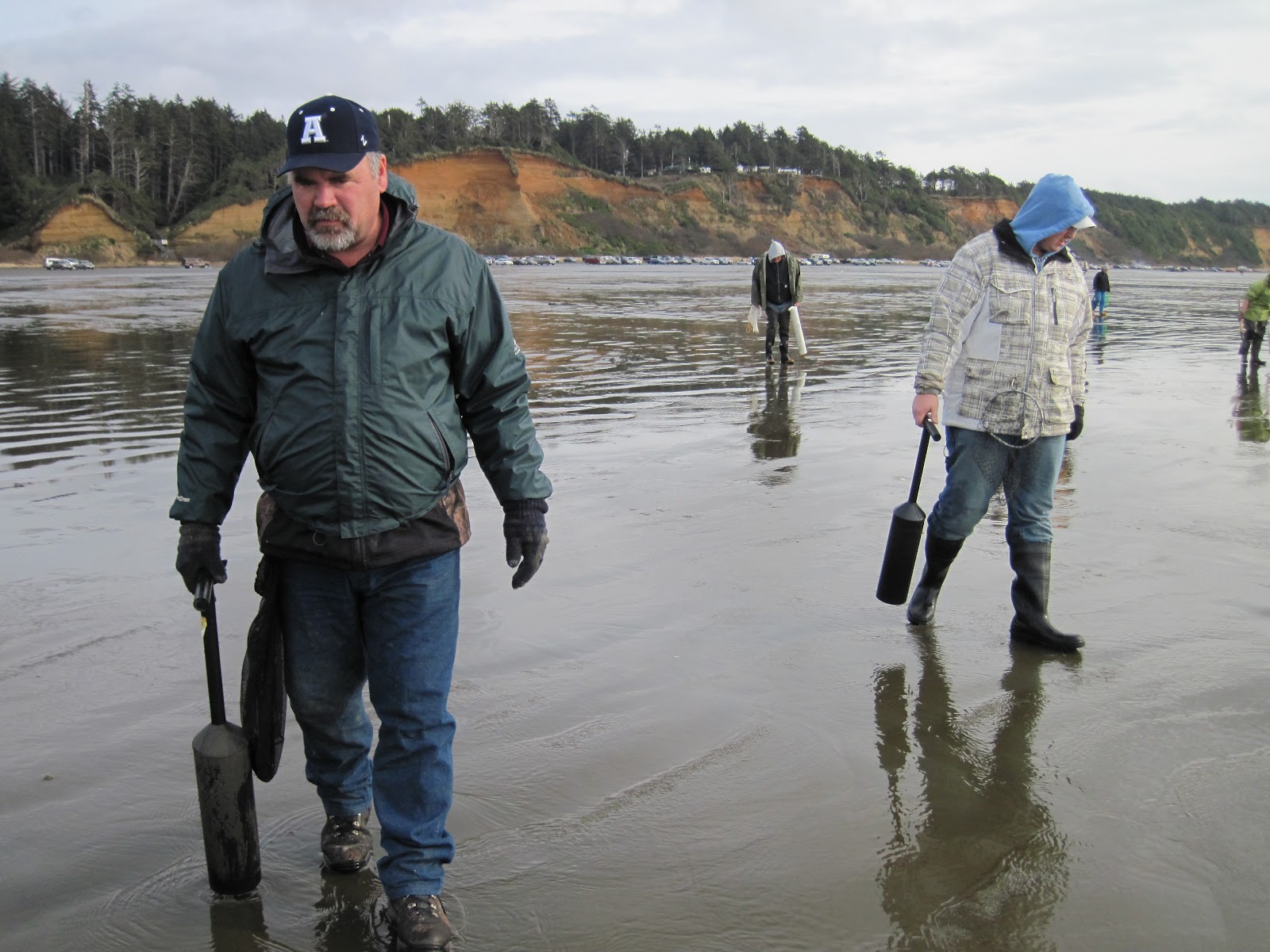 Jen's Updates Razor Clam Digging