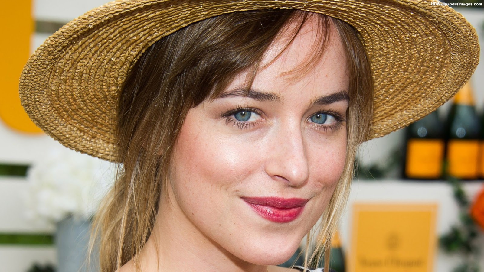 4k Ultra HD Wallpaper: Dakota Johnson HD Wallpapers