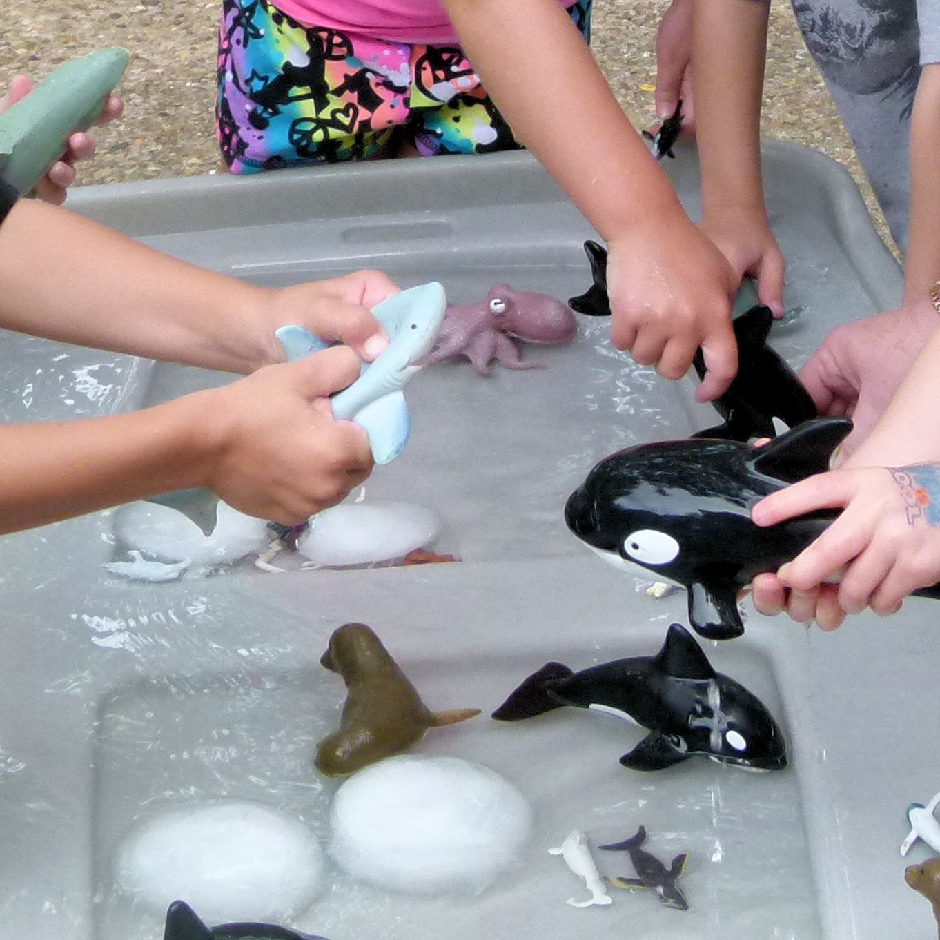 Paula's Primary Classroom: Polar Bears
