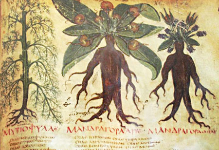 Theaterliebe Mein Herz