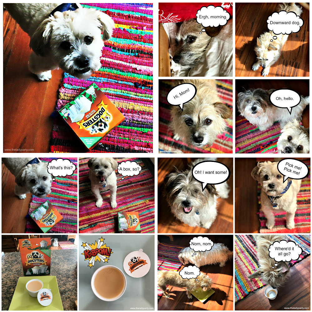 The Lady Party Dogsters Ice Cream Style Treats for Dogs