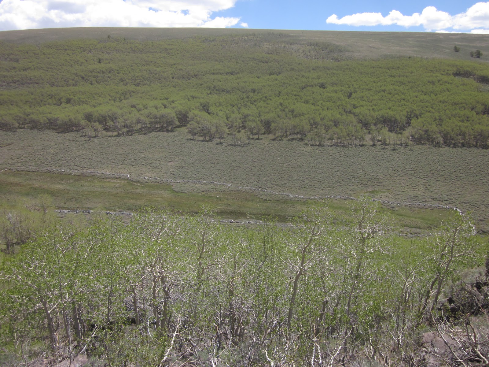 Scootchin' Sand Table Mountain Wilderness