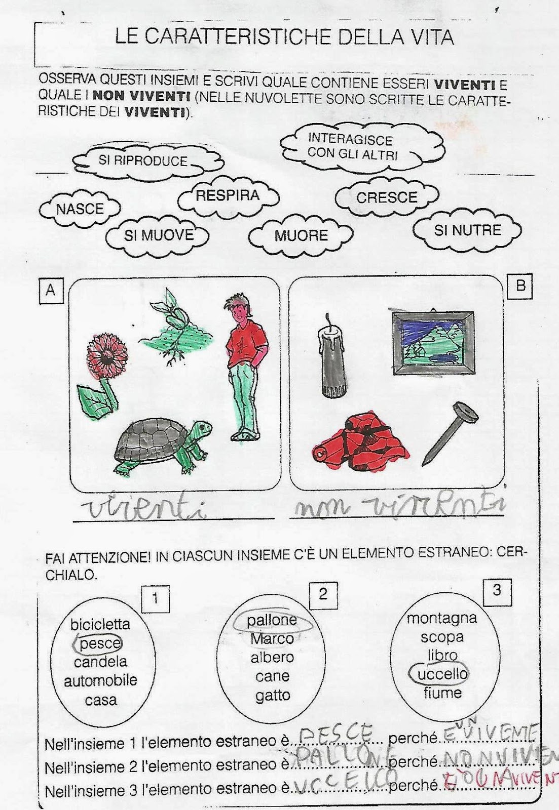 Scienze Classe Seconda Viventi E Non Viventi