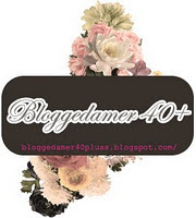 Hurtigknapp til Bloggedamer 40+