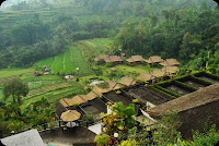 saranam eco resort