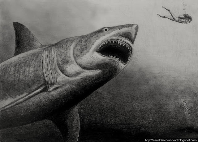 Lukas´s Photos and Graphic Art: Megalodon (drawing)