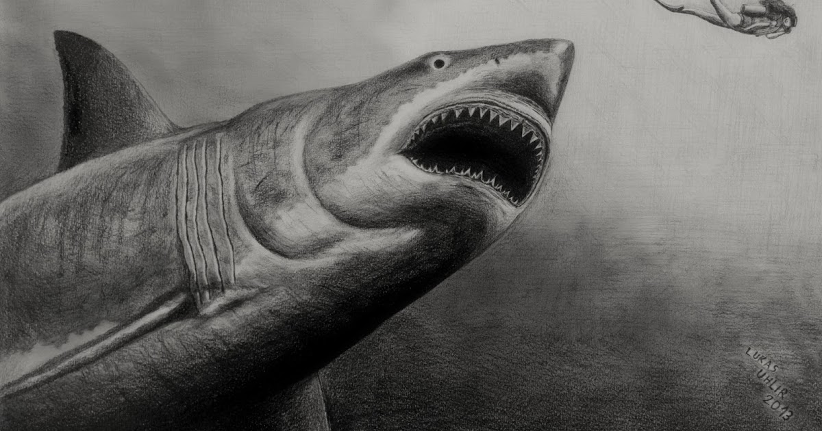 Lukas´s Photos and Graphic Art Megalodon (drawing)