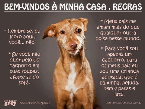 Meu cachorro mora aqui você não Outlet