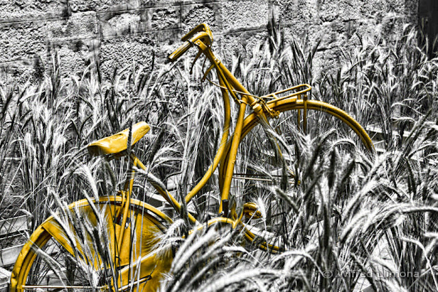 Fotografías artisticas. Bicicleta naranja F00493 de Wifred Llimona en La Llimona foto