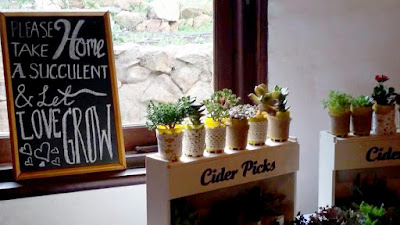 Succulent wedding favours dressed up with lace and a beautiful chalkboard sign.