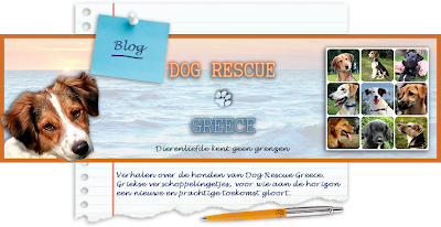 De honden van Dog Rescue Greece