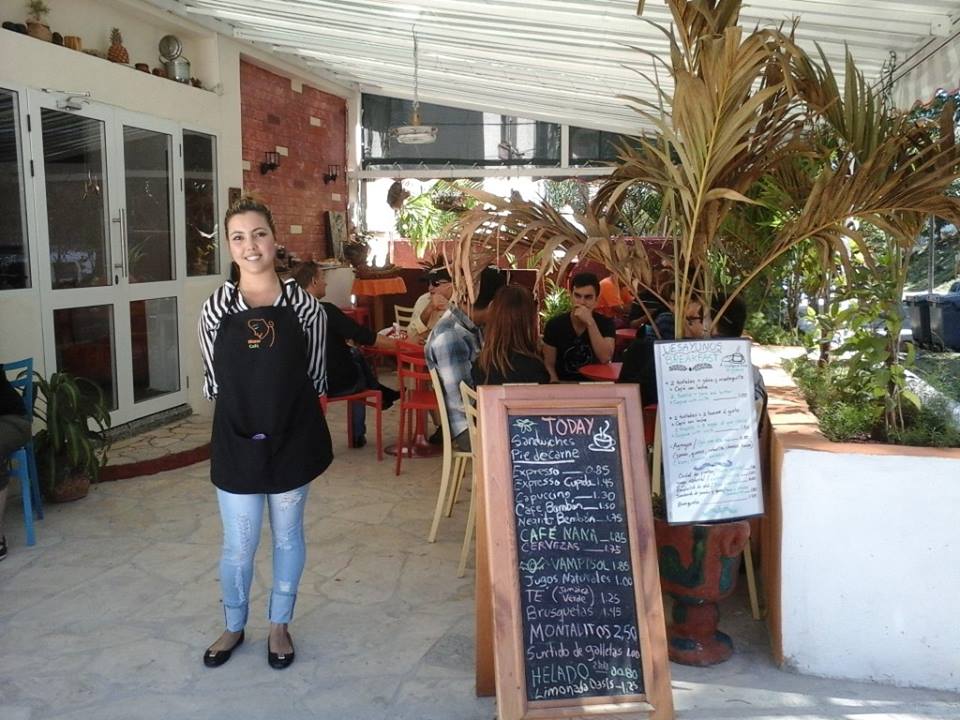 Gugl Kubanisches Tagebuch Folge V Abschied