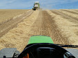 Cereal harvesting days... machinery has changed a lot / Cosecha de cereales... mucho ha cambiado la maquinaria