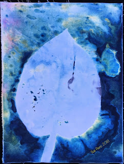 Wet cyanotype_Sue Reno_Image 493