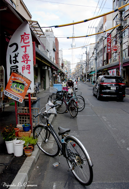 Japón primavera 2016 - 18 días (con bajo presupuesto) - Blogs de Japon - Día 2 - Ueno - Ameyoko - Asakusa (7)