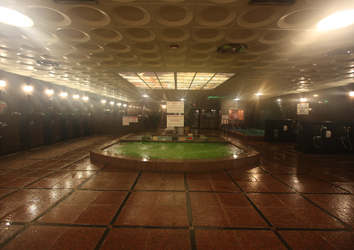 King Spa Dallas: The Naked Truth - Garnerstyle