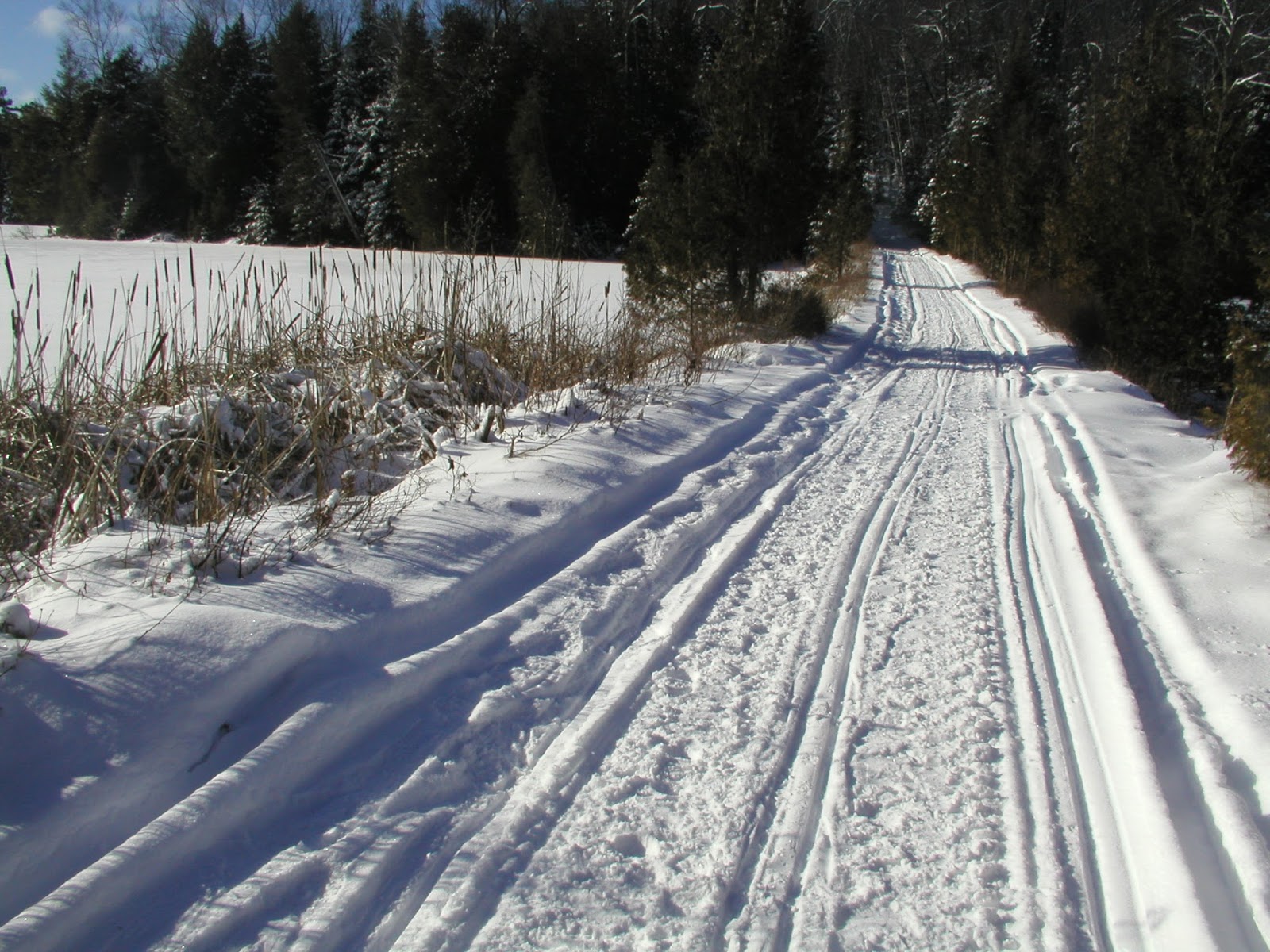 Elephant Lake Cottage Road Lake