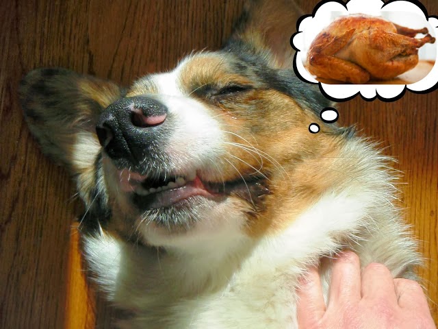 Dresm Puppy Dogs Rscaping Dresm Puppy Dogs Rscaping