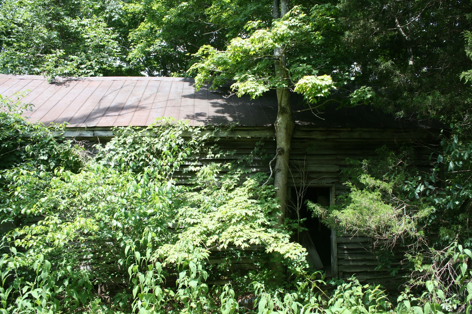 Eerie Indiana Abandoned home near Bowling Green, Kentucky