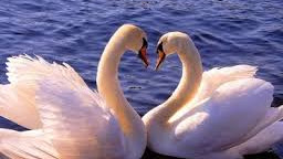 Komunikasi bisnis / Komunikasi ditempat kerja