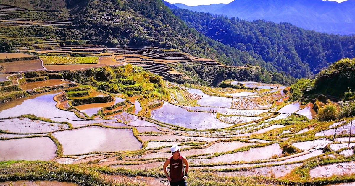 Maligcong Rice Terraces: The Wonderful Gem of Bontoc - The Pinoy Traveler