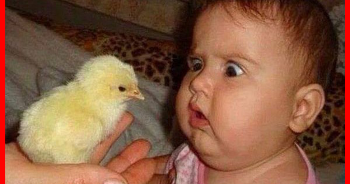 ||COMPILATION|| Video drole|| a mourir de rire #75 Essaye de ne pas ...