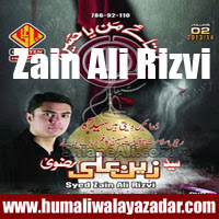 http://ishqehaider.blogspot.com/2013/11/zain-ali-rizvi-nohay-2014.html